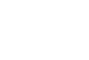 brano logo